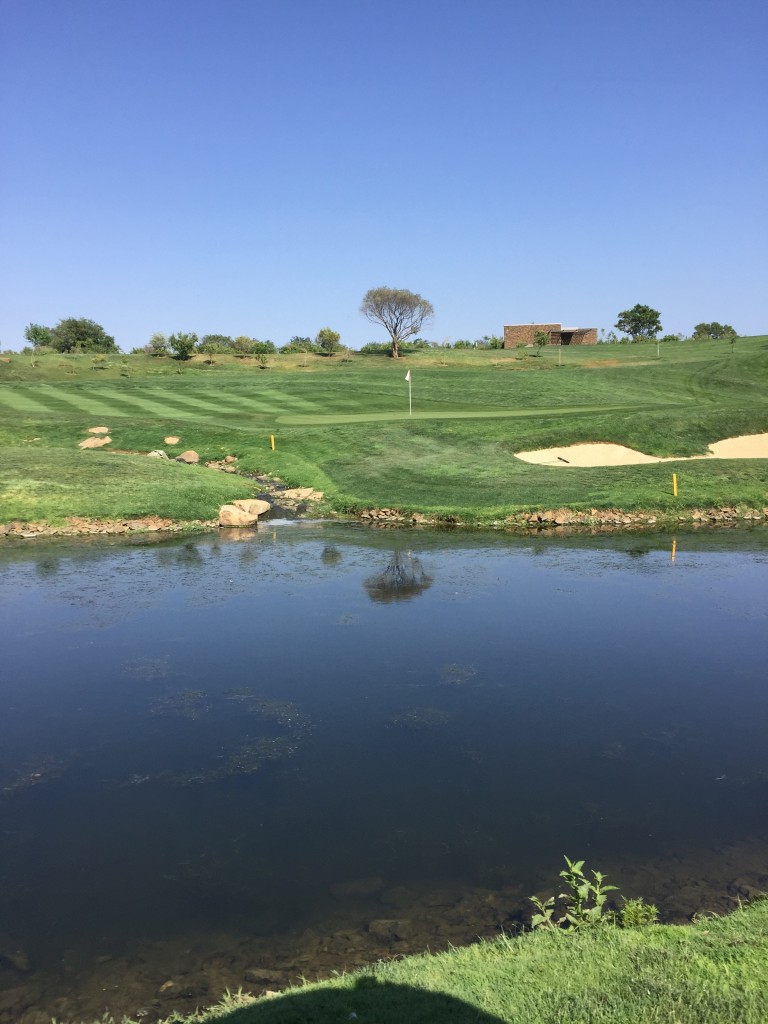 Steyn City Golf Course - in perfect condition