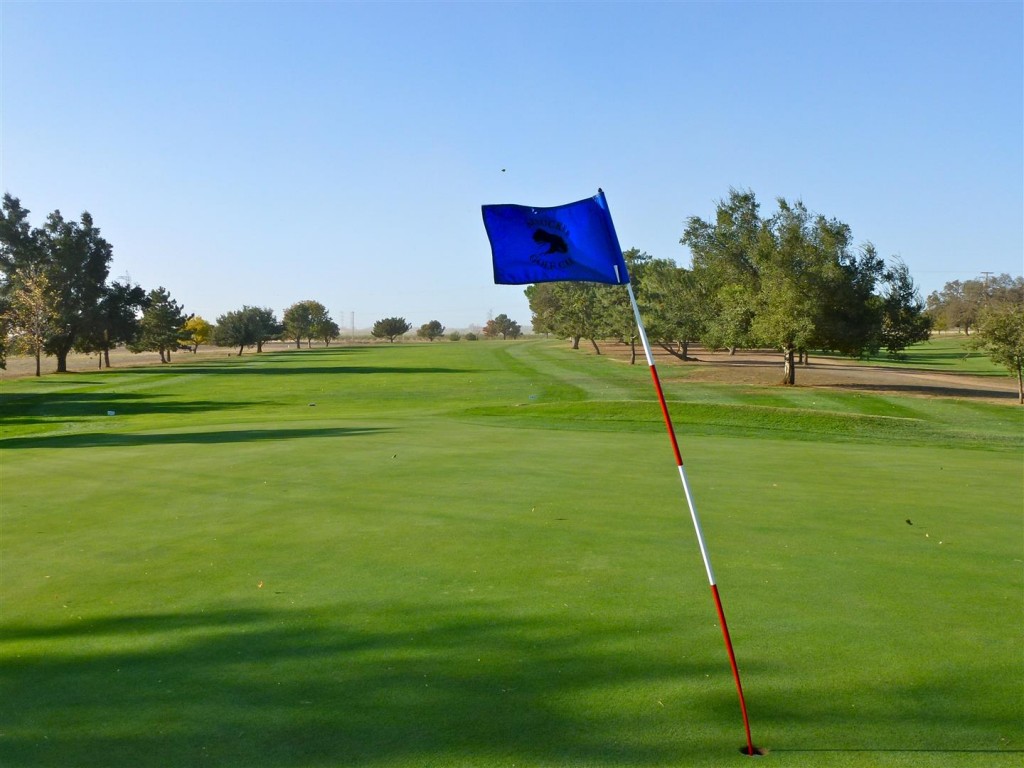 Windy Golf