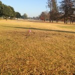 Benoni lake Golf Club's 10th Hole